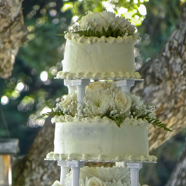 Wedding at Mount Shasta Ranch, photo 10