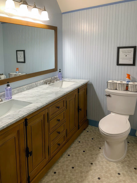Renovated Carriage House bathroom, photo 4