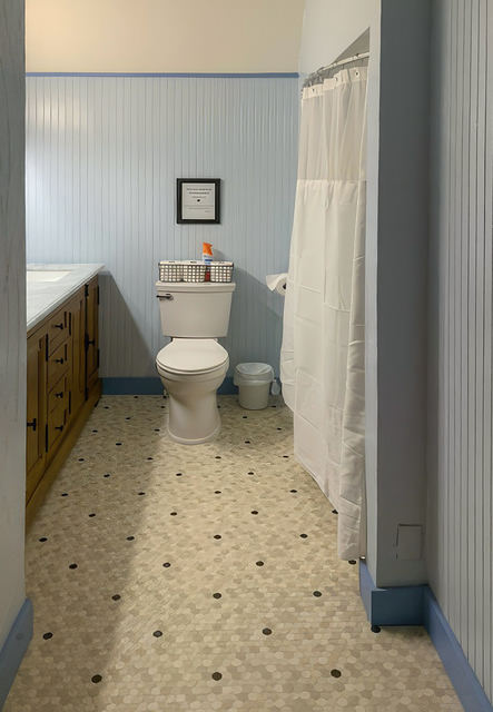 Renovated Carriage House bathroom, photo 5
